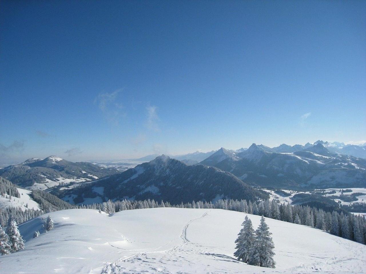 Appartement Nr 19, Alpenappartementhaus, Oberstaufen-Steibis, Allgaeu, Oberstaufen Plus Exterior photo